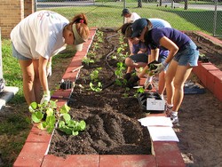 Community Garden